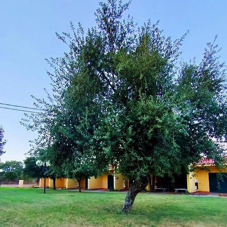 Nuraghe Ruiu Camping & Bungalow Norbello Екстериор снимка